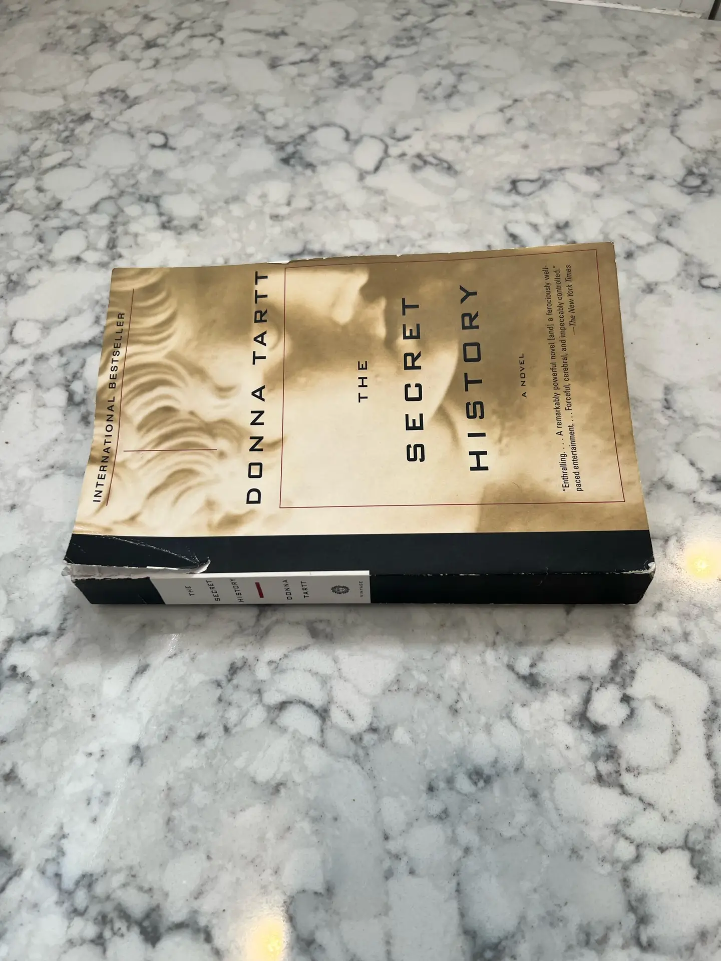 Read more about the article Book review: “The Secret History”, by Donna Tartt