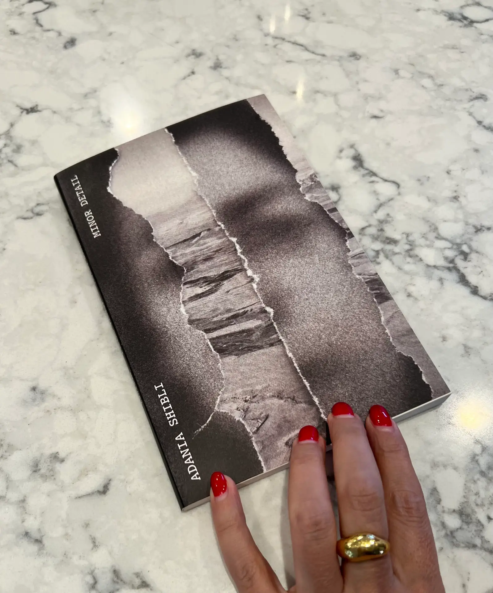 Read more about the article Book review: “Minor Detail”, by Adania Shibli